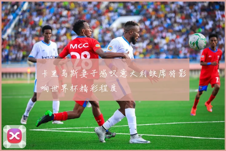 卡里乌斯妻子感叹意大利缺席将影响世界杯精彩程度